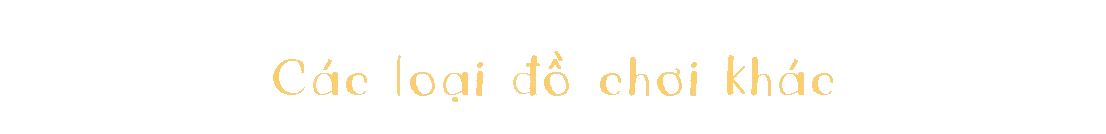 Cac-Loai-Do-Choi-Khacc.webp