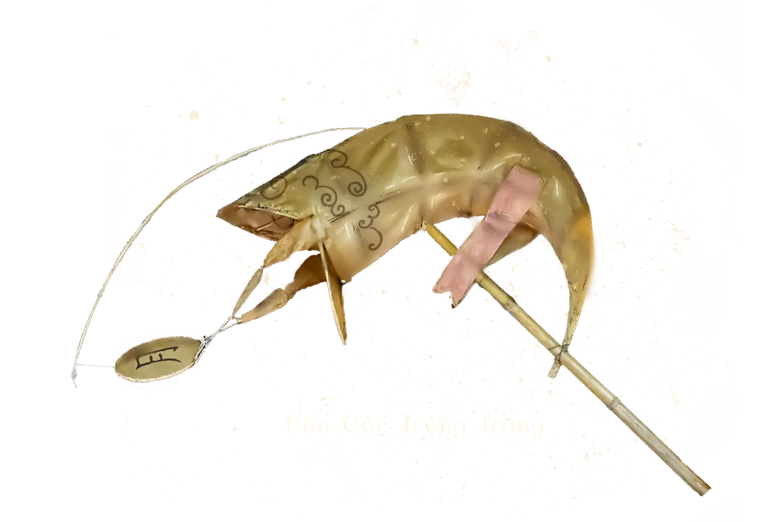 Den-Coc-Trong-Trang.webp